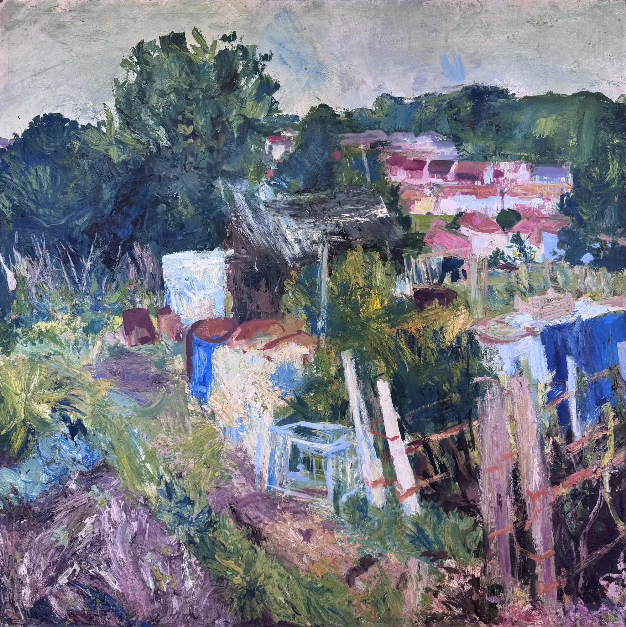 Allotments at Swan Vale, Falmouth I